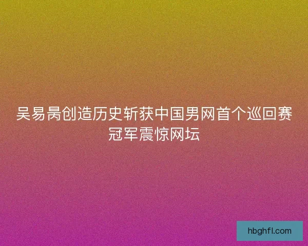 吴易昺创造历史斩获中国男网首个巡回赛冠军震惊网坛